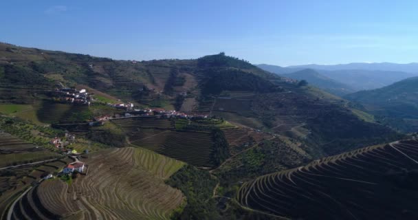 Flygfoto Över Terrasserade Vingårdarna Douro Dalen Nära Byn Pinhao Portugal — Stockvideo