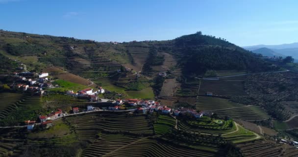 Egy Kis Falu Portugáliai Douro Völgy Teraszos Szőlőhegyek Megtekintése Koncepció — Stock videók