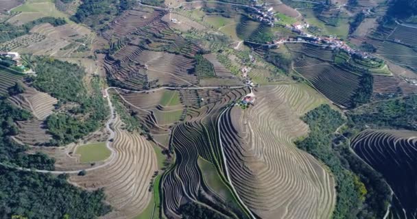 Teraslı Üzüm Bağları Douro Valley Yakınındaki Pinhao Köyü Portekiz Hava — Stok video