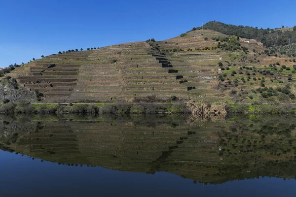 포르투갈의 핀하오 근처의 계단식 포도밭이 도우로 Douro River 포르투갈과 포르투갈에서 — 스톡 사진