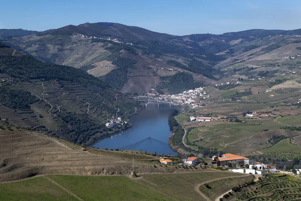 계단식 포도밭이 핀하오 마을과 도우로 포르투갈의 도우로 계곡의 아름다운 포르투갈과 — 스톡 사진