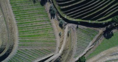 Pinhao, Portekiz köyü yakınlarındaki Douro Vadisi'nde teraslı üzüm bağları havadan ortaya görünümü; Portekiz ve Portekiz'de en güzel yerlerde seyahat için Kavram