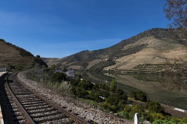 Douro Nehri Douro Vadisi Ndeki Tren Rayları Ile Ikonik Quinta — Stok fotoğraf