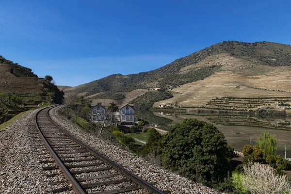 Douro Nehri Douro Vadisi Ndeki Tren Rayları Ile Ikonik Quinta — Stok fotoğraf