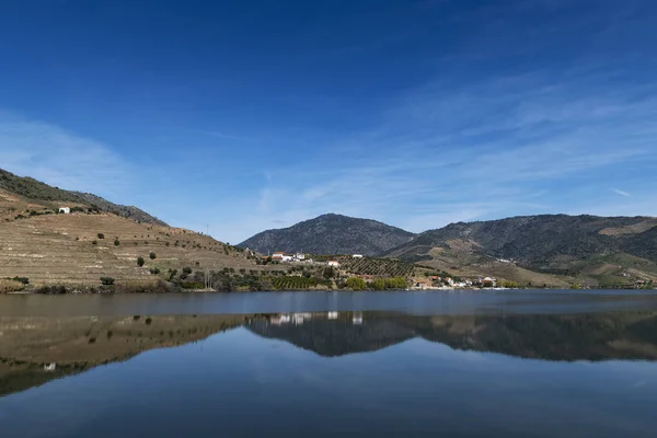 Portekiz Foz Coa Köyü Yakınlarında Teraslı Üzüm Bağları Ile Douro — Stok fotoğraf