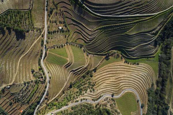 Teraslı üzüm bağları Douro Valley yakınındaki Pinhao Köyü, Portekiz Hava görünümünü; Kavram Portekiz seyahat ve Portekiz en güzel yerleri