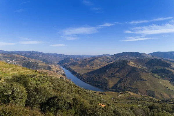 Portekiz Tua Kasabası Yakınlarındaki Teraslı Üzüm Bağlarıyla Douro Vadisi Nehrin — Stok fotoğraf