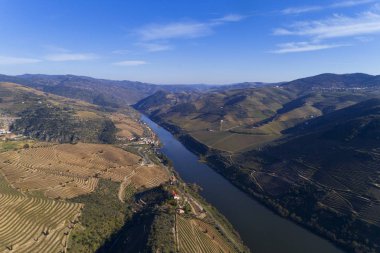 Portekiz 'in Tua kasabası yakınlarındaki teraslı üzüm bağlarıyla Douro Vadisi ve nehrin manzaralı manzarası.
