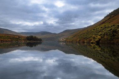 Portekiz'de teraslı üzüm bağları ve Douro Nehri ve Douro Vadisi ile Pinhao köyünün manzara görünümü; Portekiz ve Portekiz'de en güzel yerlerde seyahat için Kavram