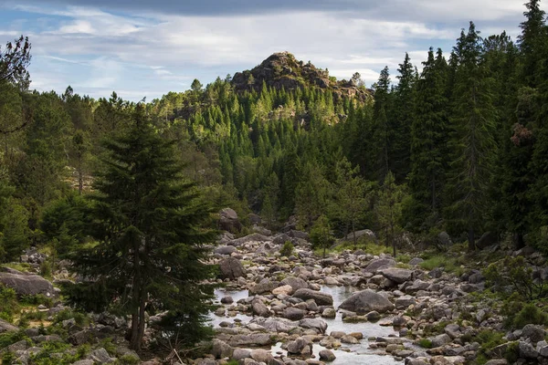 Vista Panorámica Del Río Arado Parque Nacional Peneda Geres Norte — Foto de Stock