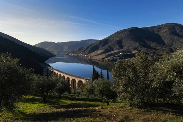 Naturskön Utsikt Över Floden Douro Med Terrasserade Vingårdar Nära Byn — Stockfoto
