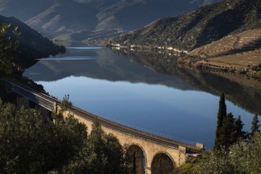 Portekiz'in Foz Coa köyü yakınlarında teraslı üzüm bağları ile Douro Nehri'nin manzara görünümü; Portekiz ve Portekiz'de en güzel yerlerde seyahat için Kavram