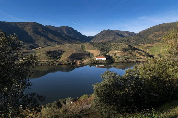 Vista Panorâmica Rio Douro Com Vinhas Terraço Perto Aldeia Foz — Fotografia de Stock