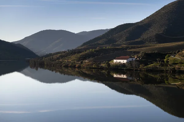 Vista Panorâmica Rio Douro Com Vinhas Terraço Perto Aldeia Foz — Fotografia de Stock