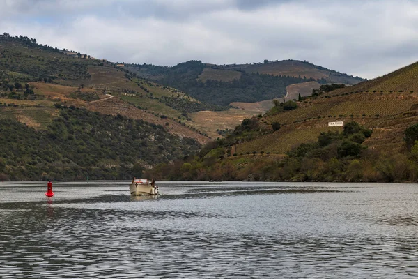 Pinhao Portekiz Haziran 2019 Portekiz Teraslı Üzüm Bağları Ile Douro — Stok fotoğraf