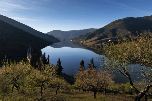 Vista Panorâmica Rio Douro Com Vinhas Terraço Perto Aldeia Foz — Fotografia de Stock