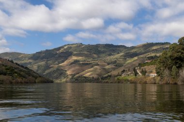 Portekiz'de Tua köyü yakınlarında teraslı üzüm bağları ile Douro Nehri ve Vadisi manzara.