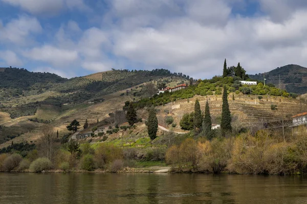 Tua Portugal Mars 2019 Utsikt Över Quinta Dos Malvedos Vingård — Stockfoto