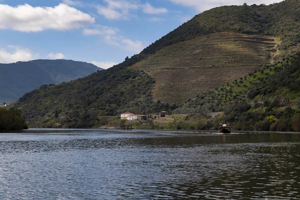 Scenic View Douro River Traditional Rabelo Boat Terraced Vineyards Tua — Stock Photo, Image