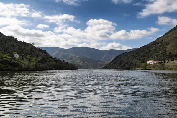 Portekiz Deki Pinhao Köyü Yakınlarında Teraslı Üzüm Bağları Bulunan Douro — Stok fotoğraf