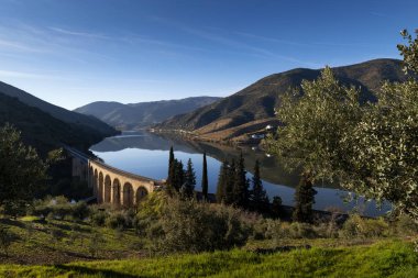 Portekiz'in Foz Coa köyü yakınlarında teraslı üzüm bağları ile Douro Nehri'nin manzara görünümü; Portekiz ve Portekiz'de en güzel yerlerde seyahat için Kavram