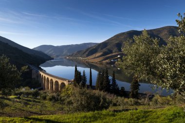 Scenic view of the Douro River with terraced vineyards near the village of Foz Coa, in Portugal; Concept for travel in Portugal and most beautiful places in Portugal clipart