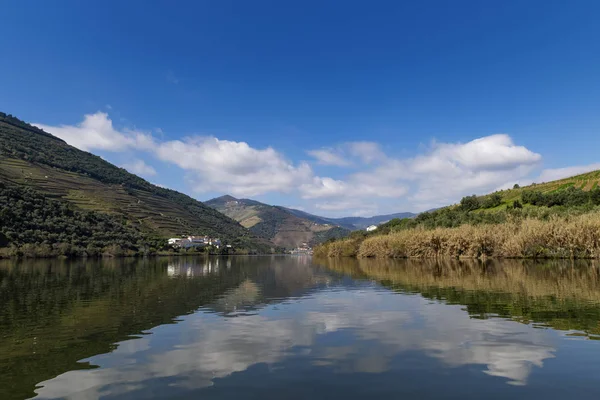 Scenic View Pinhao Village Terraced Vineyards Douro River Douro Valley — Stock Photo, Image