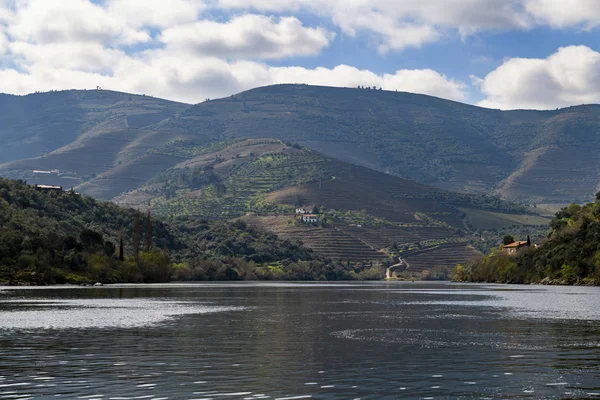 Vista Panorâmica Rio Vale Douro Com Vinhas Terraços Perto Aldeia — Fotografia de Stock