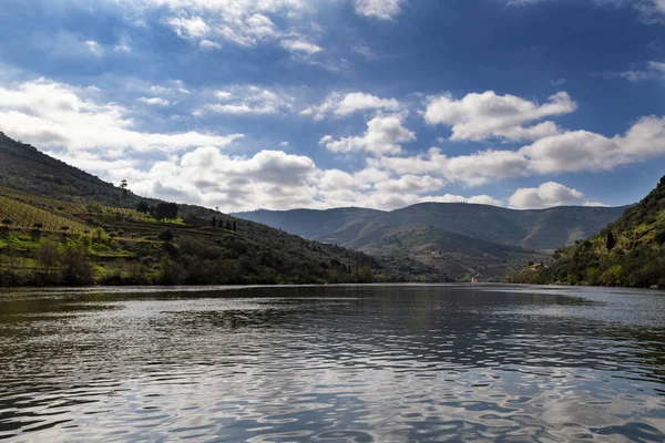 Naturskön Utsikt Över Floden Douro Och Dalen Med Terrasserade Vingårdar — Stockfoto