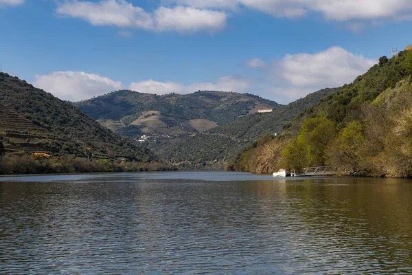 Portekiz Tua Köyü Yakınlarındaki Douro Nehri Nin Teraslı Üzüm Bağlarının — Stok fotoğraf