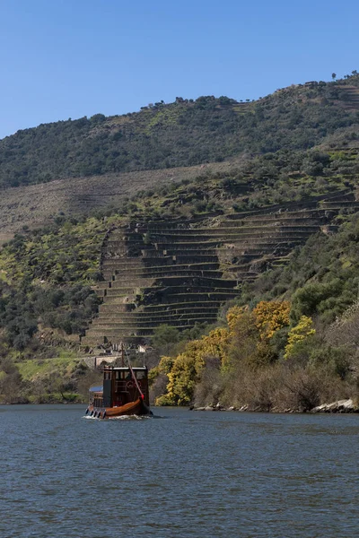 Scenic View Douro River Traditional Rabelo Boat Terraced Vineyards Tua — Stock Photo, Image