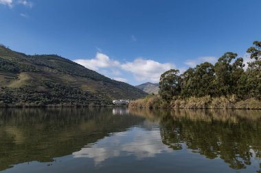 Portekiz'de teraslı üzüm bağları ve Douro Nehri ve Douro Vadisi ile Pinhao köyünün manzara görünümü; Portekiz ve Portekiz'de en güzel yerlerde seyahat için Kavram