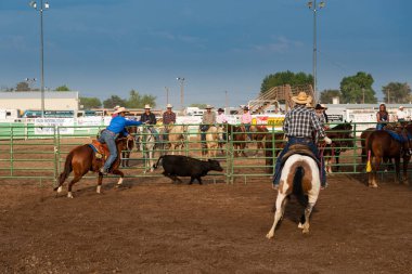 Fallon, Nevada - 3 Ağustos 2014: Nevada eyaletinin Fallon kentindeki Churchill County Panayırı 'nda bir rodeoda buzağı yakalayan at sırtında kovboylardan oluşan bir takım..