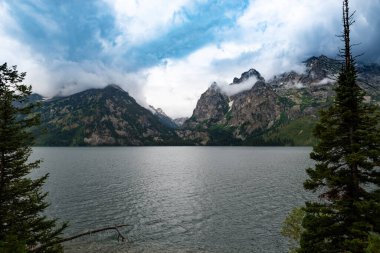 ABD 'nin Wyoming eyaletinde, arka planda Grand Teton dağları bulunan bir göle giden yolu gösteren ormanın manzarası.