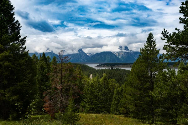 Scenic View Forest Road Leading Lake Grand Teton Mountains Background — Stock Photo, Image