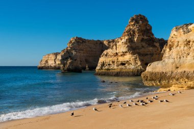 Portekiz 'in Algarve bölgesindeki manzaralı Marinha Sahili (Praia da Marinha) manzarası; Portekiz' e seyahat ve yaz tatilleri kavramı.