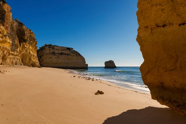 View Scenic Marinha Beach Praia Marinha Algarve Region Portugal Concept — Stock Photo, Image