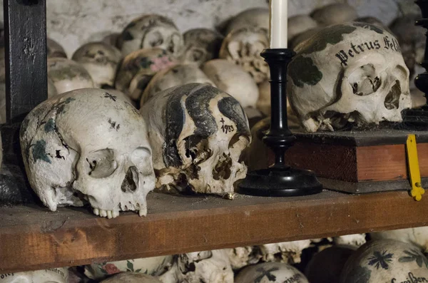 Spooky old human skulls on wooden shelves