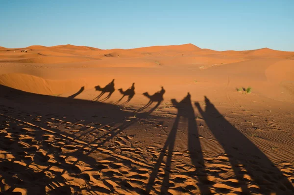 Desert with orange dunes and silhouettes of people riding camels