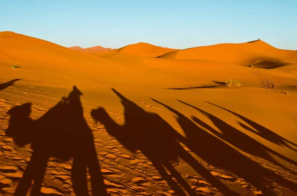 Пустыня Оранжевыми Дюнами Силуэтами Людей Верхом Верблюдах — стоковое фото