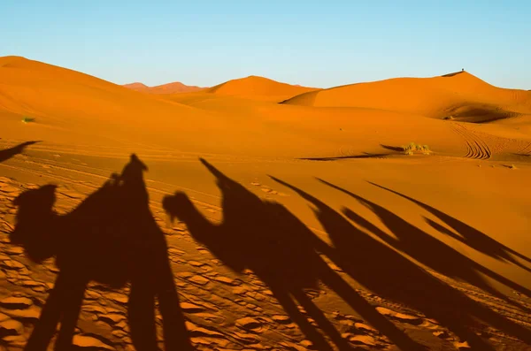 Desert with orange dunes and silhouettes of people riding camels