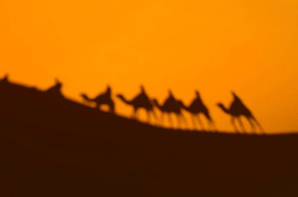 Desert with orange dunes and silhouettes of people riding camels