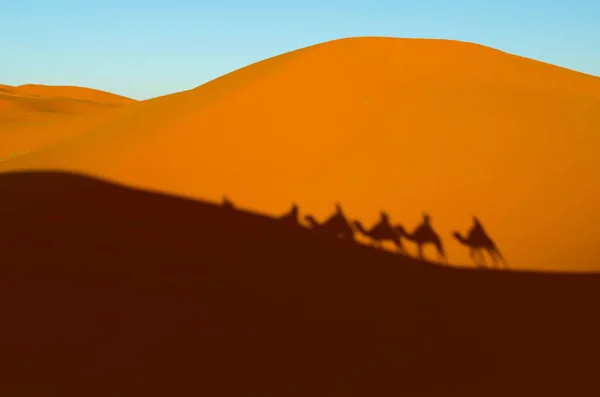 Πορτοκαλί Αμμόλοφους Και Σιλουέτες Των Ατόμων Ιππασία Καμήλες — Φωτογραφία Αρχείου