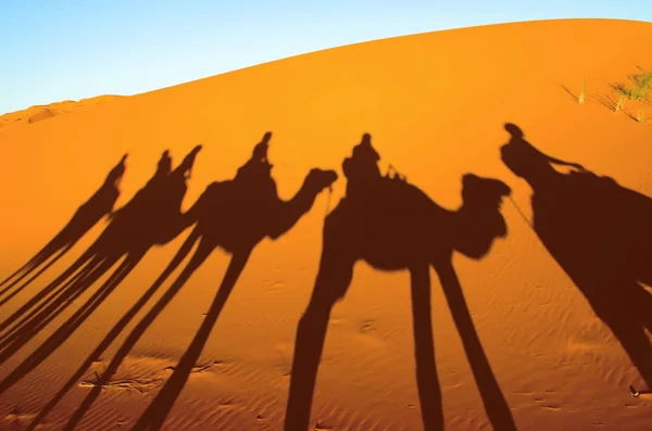 Desert with orange dunes and silhouettes of people riding camels