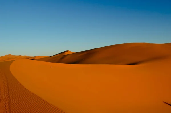 Wüste Mit Orangefarbenen Dünen Vor Blauem Himmel — Stockfoto