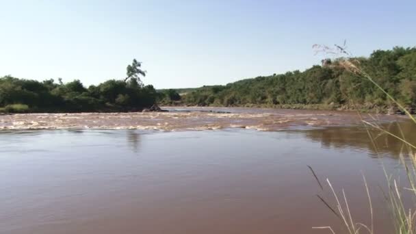 Uno Zoom Fiume Gonfio Nel Cespuglio — Video Stock