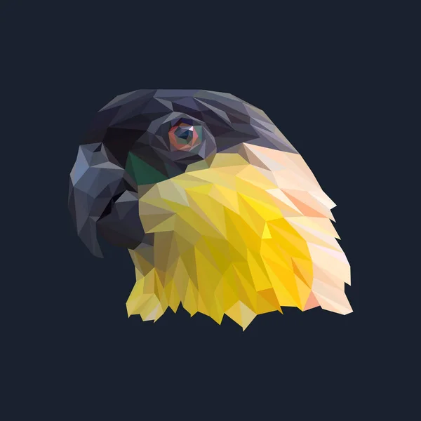 Perroquet Oiseau Low Poly Design Sur Fond Noir Illustration Vectorielle — Image vectorielle