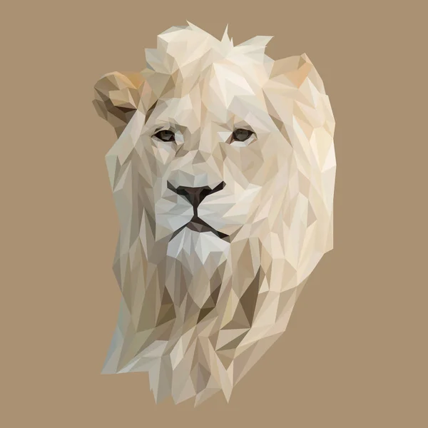 Lion chat animal low poly design . — Image vectorielle