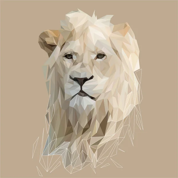 Lion chat animal low poly design . — Image vectorielle