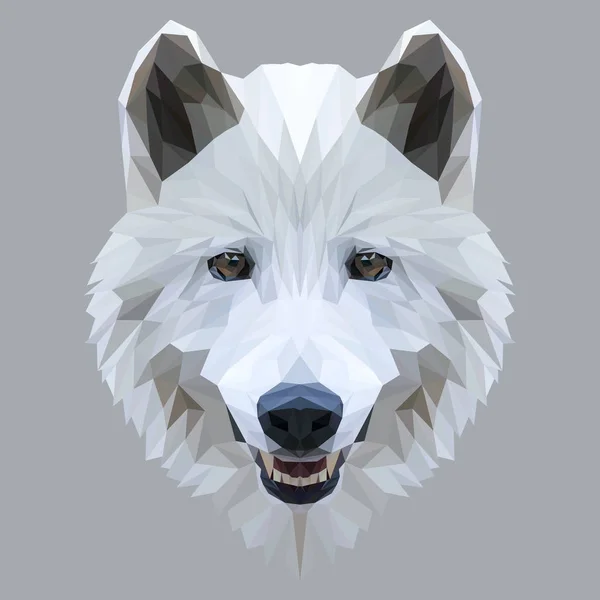 Wolf dierlijke laag poly ontwerp. — Stockvector